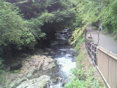 河津川の流れと道